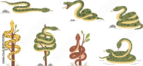 Snake Vector Illustration Set with Coiled Serpents, Different Poses, Wildlife Reptiles, Nature Elements, and Cartoon Animal Collection