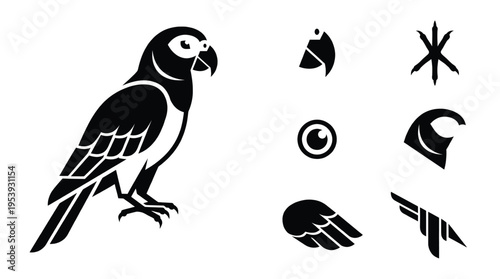 Black and white parrot vector illustration set including parrot body head beak eye wing tail and bird claw icons isolated white