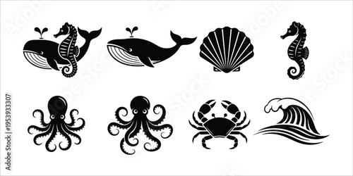 Black and white sea creatures and shells illustrations