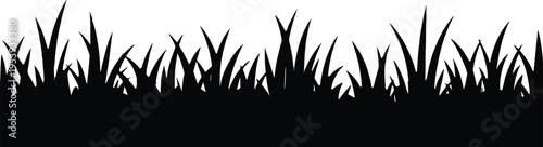 Black silhouette of grass on a white background