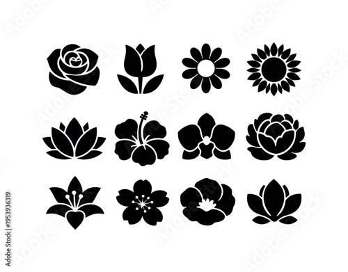 Botanical flower elements: rose blossom, tulip flower, daisy flower, sunflower bloom, lotus flower, hibiscus flower, orchid blossom, peony flower, lily flower, cherry blossom