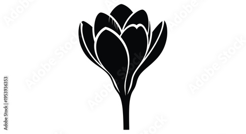 A striking black and white illustration depicts a blossoming flower with elegantly curved petals