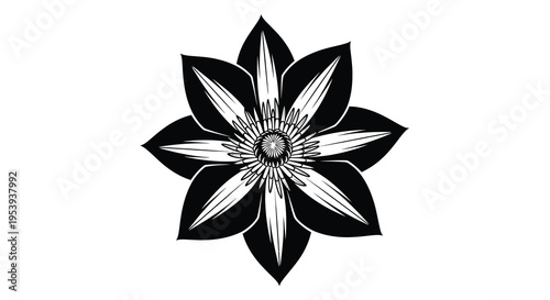 A striking black and white illustration depicts a detailed symmetrical flower with pointed petals