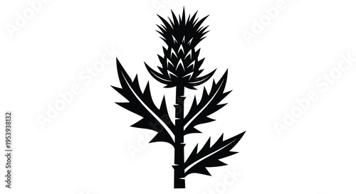 A striking black silhouette depicts a thistle flower with sharply pointed leaves and a sturdy stem