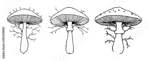 Mushroom mycelium network set with fine line art on white background featuring organic material, sustainable theme, delicate thin lines with illustration and vector