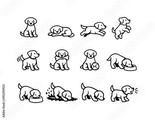 Dog activities and behavior: dog sitting, dog lying down, dog running, dog jumping, dog wagging tail, dog with bone, dog with ball, dog drinking water, dog eating from bowl, dog