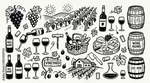 Hand drawn wine and vineyard elements collection