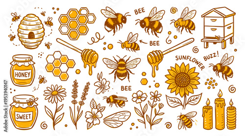 Honey bee collection with honeycomb and flowers