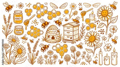 Hand drawn honey bee and floral elements collection
