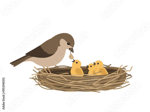 Mother bird feeding her baby chicks in a nest.
