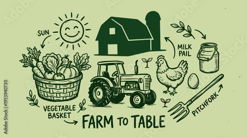 Farm to table organic agriculture concept with hand drawn illustrations of produce and livestock