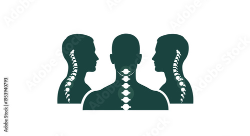 Spine anatomy in human silhouettes.