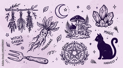 Witchcraft and occult elements collection with mandrake cat and magic symbols