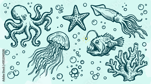 Hand drawn marine life collection with octopus starfish squid jellyfish anglerfish and coral