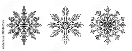 Snowflake set with fractal geometric patterns featuring high-detail crystal structure, frost with ice and winter