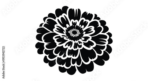 A striking black and white illustration depicts a fully bloomed chrysanthemum flower with detailed petals high quality