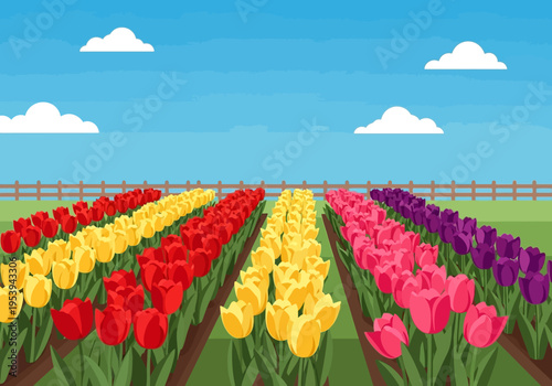 Vibrant Rows of Tulips in Full Bloom Under a Clear Sky.