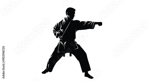 A striking silhouette depicts a martial artist performing a powerful punch in mid air high quality