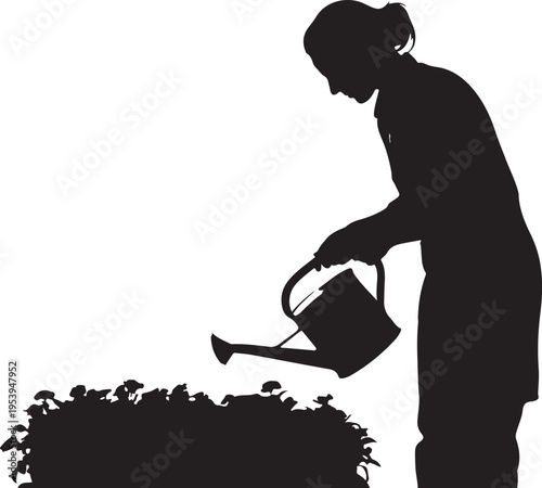 A silhouette of a person watering plants in a garden bed with a watering can.
