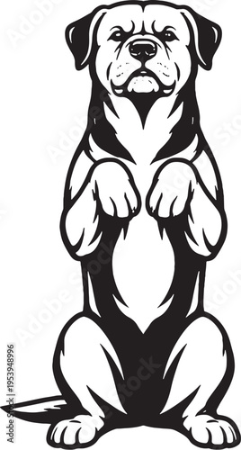 Rottweiler Sitting Beg Pose Front View Black and White Line Art Illustration
