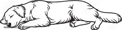 Golden Retriever Sleeping On Side Relaxed Pose Black and White Line Art Illustration
