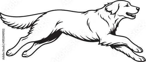 Golden Retriever Running Sprint Side View Black and White Line Art Illustration