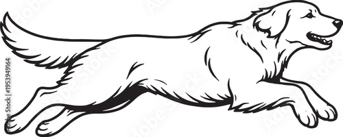 Golden Retriever Jumping Mid Air Side View Black and White Line Art Illustration
