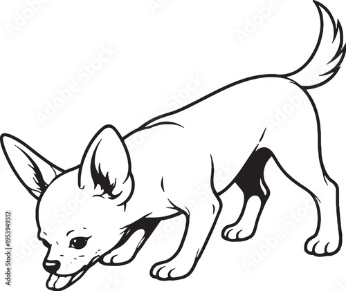 Chihuahua Drinking Water Pose Three Quarter View Black and White Line Art Illustration