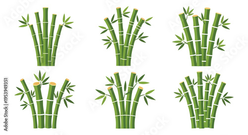 Stylized illustration of several green bamboo stalks with leafy branches