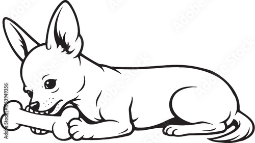 Chihuahua Chewing Bone Lying Down Side View Black and White Line Art Illustration