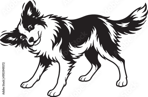 Border Collie Shaking Water Off Full Body Shake Black and White Line Art