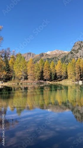 Clear Blue Sky and Autumn Forest at Lago di San Pellegrino – Vertical 4K