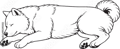Akita Sleeping on Side Relaxed Black and White Line Art Illustration