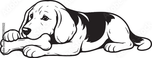 Beagle Chewing Bone Lying Down Side View Black and White Line Art Illustration