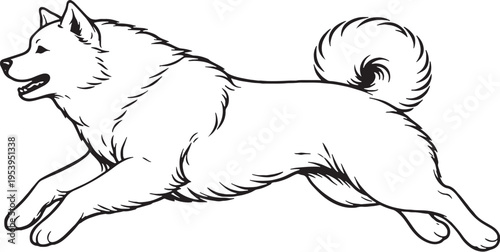 Akita Jumping Mid Air Side Black and White Line Art Illustration