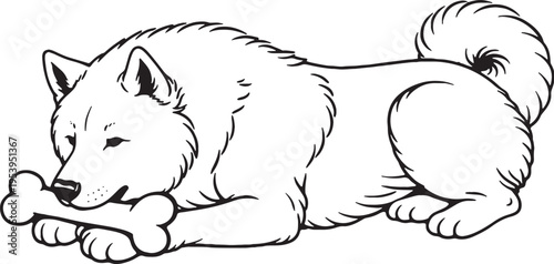 Akita Chewing Bone Lying Down Side View Black and White Line Art Illustration