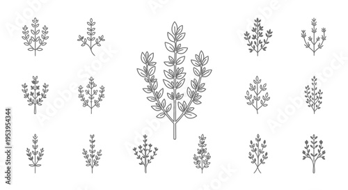 Detailed illustrations of various plant species.