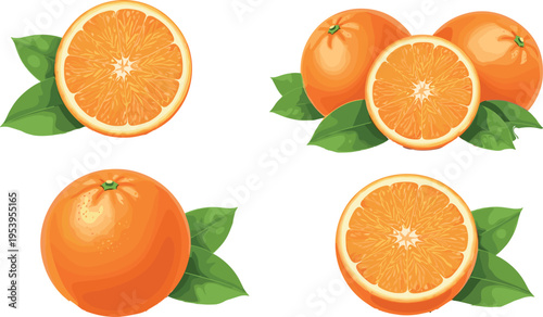 Fresh orange fruit collection with whole and sliced oranges, citrus segments and green leaves realistic vector illustration for healthy food design
