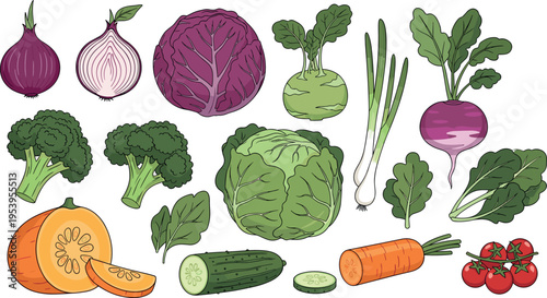 Fresh Organic Vegetable Collection Vector Illustration Featuring Cabbage Carrot Broccoli Onion Tomato Cucumber and Leafy Greens Isolated on White Background