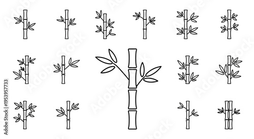 Bamboo plant with green leaves growing.