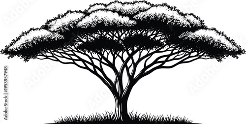 Camping, silhouette, forest, tent, adventure, nature, wilderness, landscape, vector, pine, trees, outdoor, travel, hiker, recreational, summer, mountain, tourism, woods, campfire.