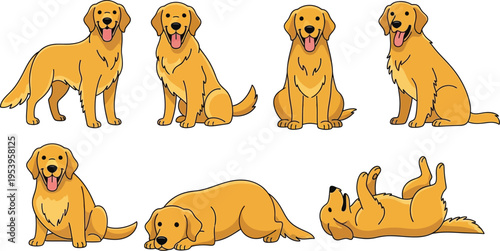 Set of golden retriever dogs shown in various common poses and actions against a white.