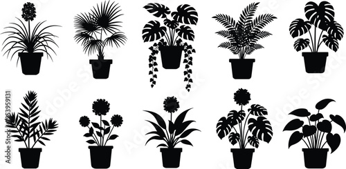 Indoor, plants, silhouette, set, potted, houseplant, collection, floral, pot, botanical, vector, monstera, palm, leaf, foliage, home, decor, garden, icon, nature.