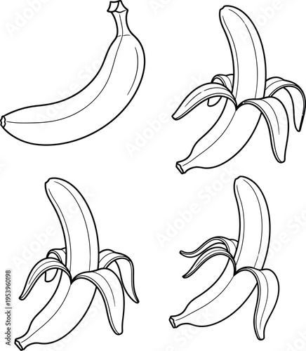 Banana fruit sequence outlines show one whole banana and three different stages of peeling.