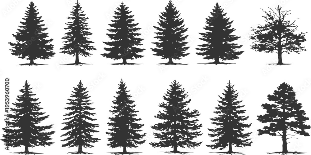 Obraz premium A collection of various coniferous pine tree silhouettes isolated on a plain white background