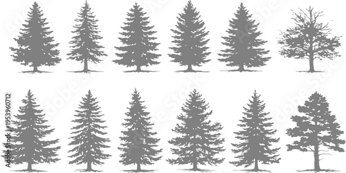 A collection of twelve distinct grey silhouettes of evergreen and deciduous trees on white background