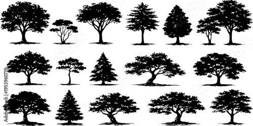 A collection of fifteen diverse tree silhouettes featuring various shapes and species for design