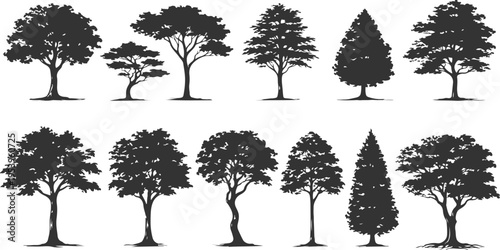 A collection of ten distinct black silhouettes of deciduous and coniferous trees on white background