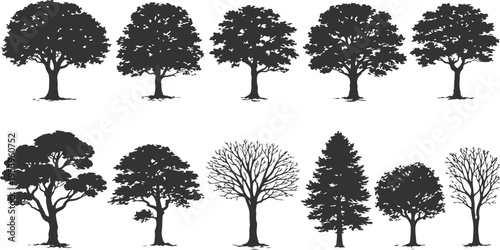 A collection of ten distinct black silhouettes of deciduous and coniferous trees on white background
