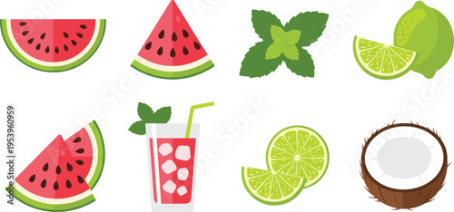 Tropical Fruit Vector Illustration Showing Watermelon Lime Coconut and Summer Drink
